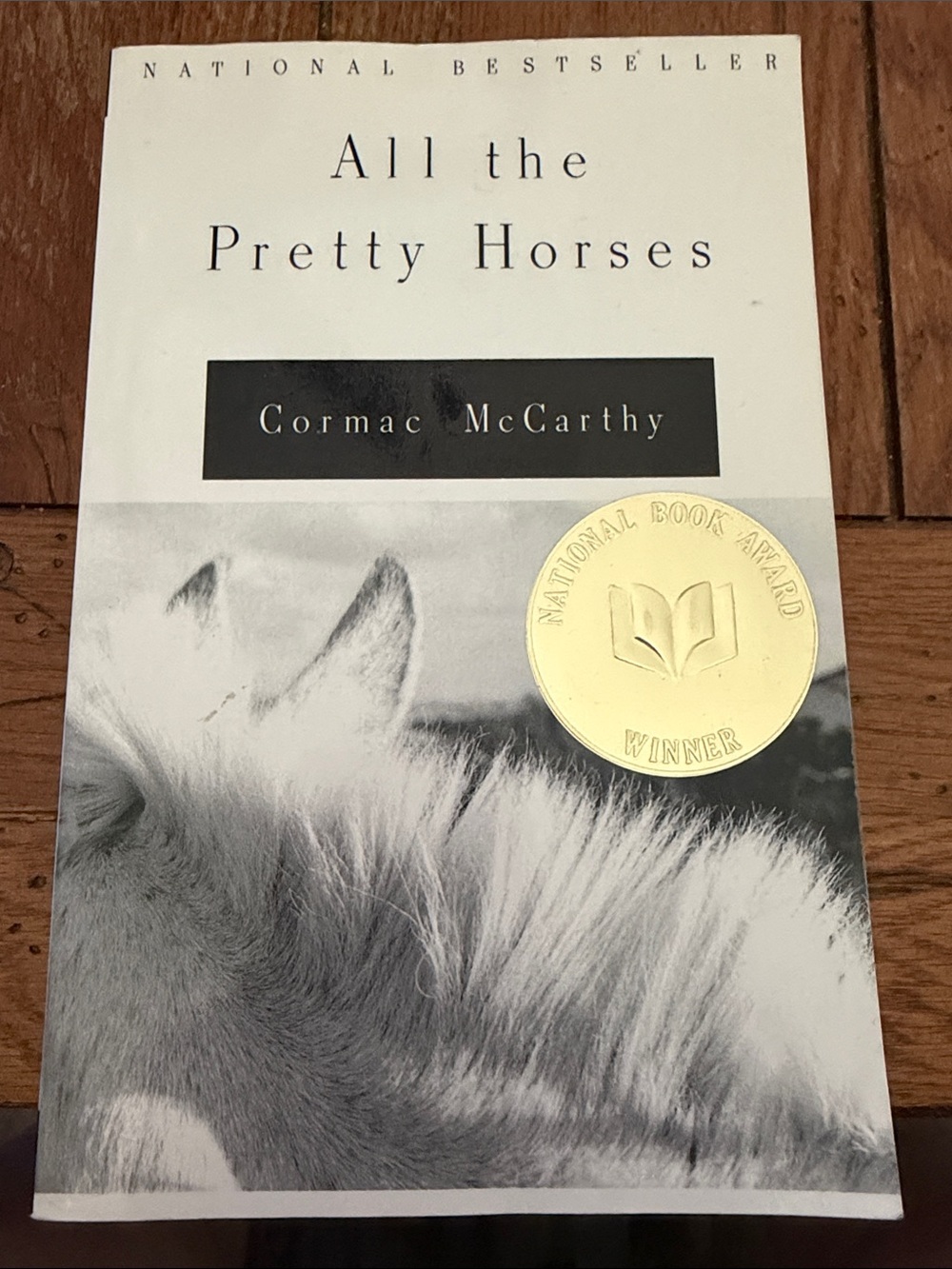 All the Pretty Horses - paperback